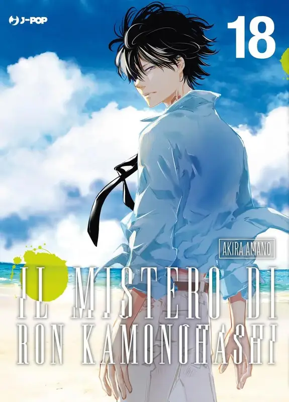 IL MISTERO DI RON KAMONOHASHI 19