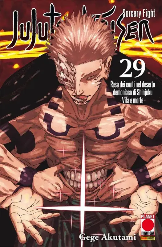 JUJUTSU KAISEN 29